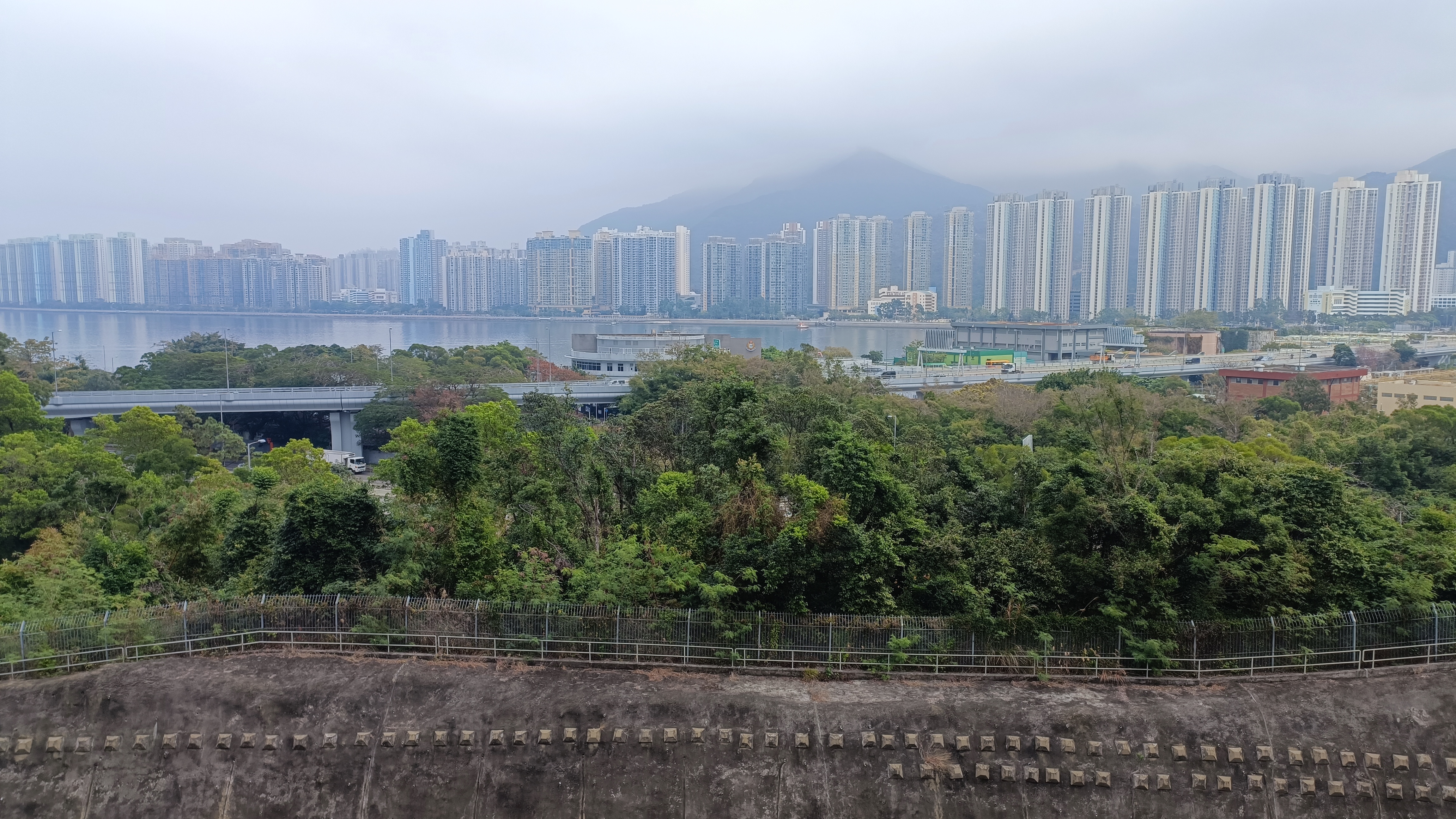 buildings over the harbour