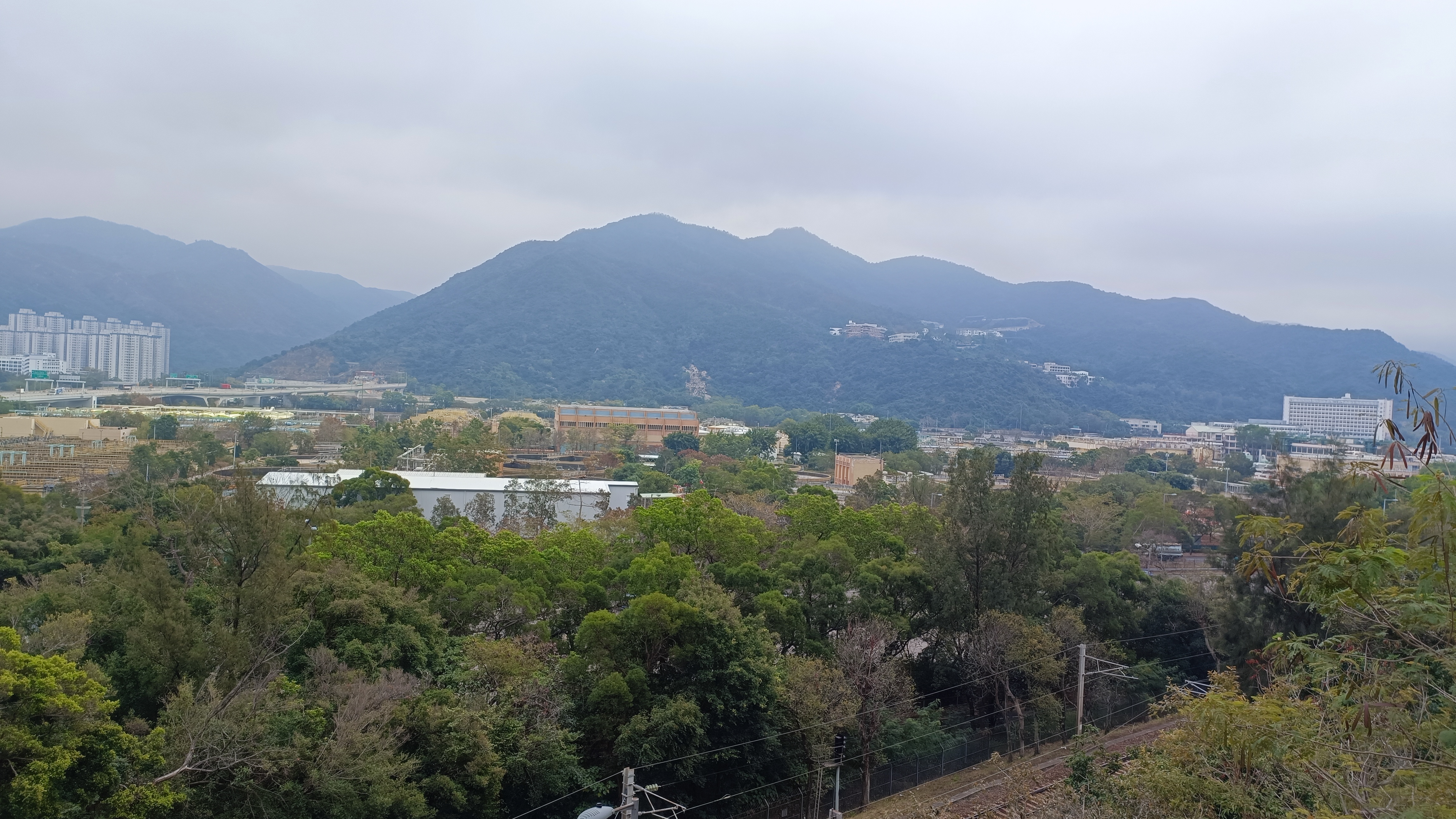 forest and a hill